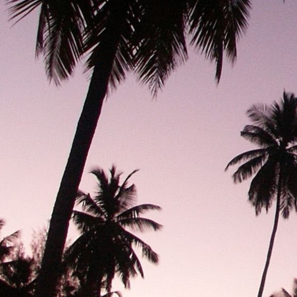 Meet your Posher, Izzy